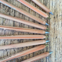 Load image into Gallery viewer, Gold or Silver Lyra Super Ferby Pencil