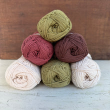 Load image into Gallery viewer, Tuscan Palette Crochet Blanket Pack + Bamboo Crochet Hook