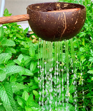 Load image into Gallery viewer, Coconut Sieve