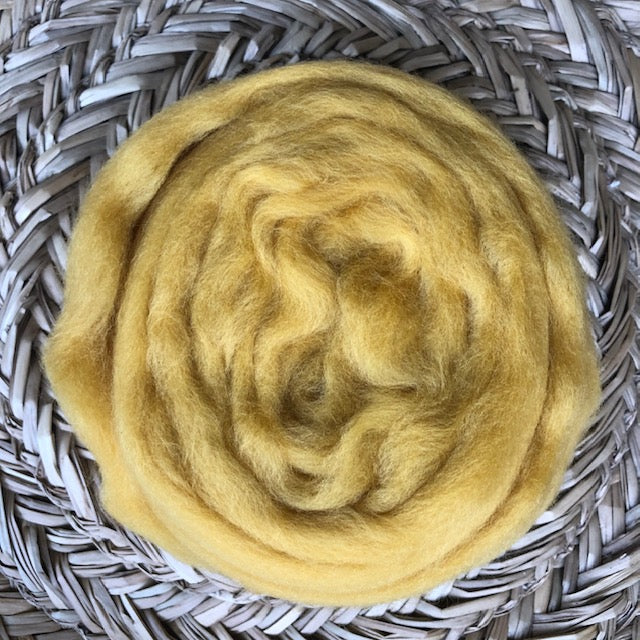 Honey fleece roving – indigo inspirations